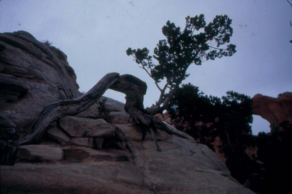 미국 애리조나주에서 촬영한 풍경 사진