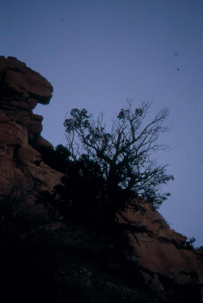 미국 애리조나주에서 촬영한 풍경 사진