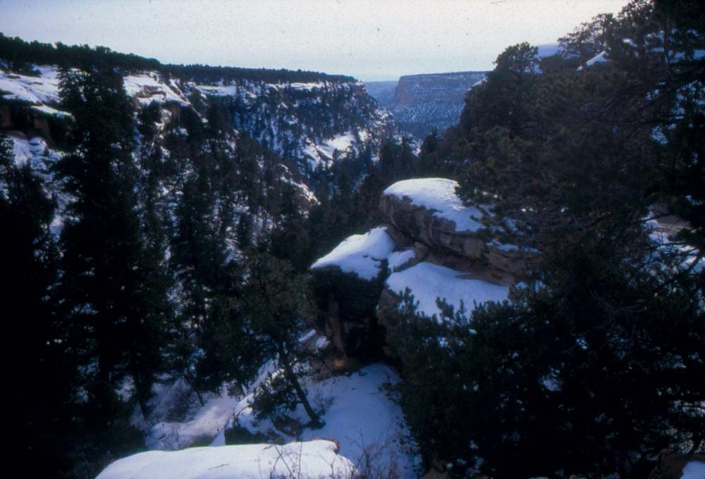 미국 애리조나주에서 촬영한 풍경 사진