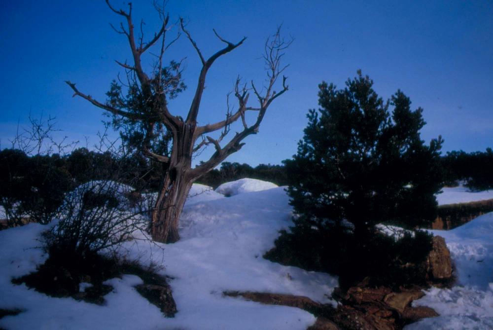 미국 애리조나주에서 촬영한 풍경 사진