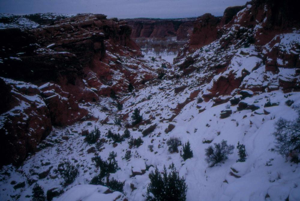 미국 애리조나주에서 촬영한 풍경 사진