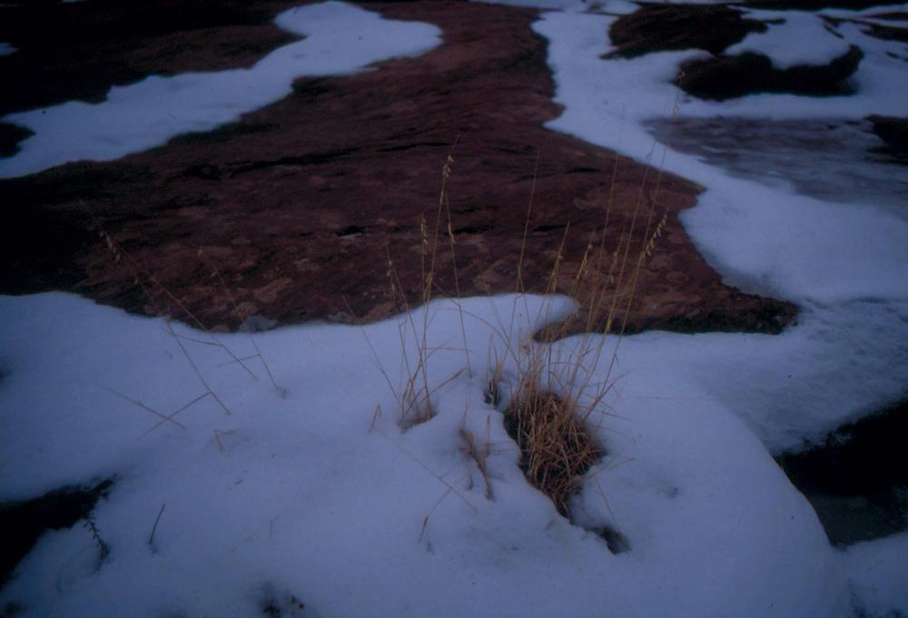 미국 애리조나주에서 촬영한 풍경 사진