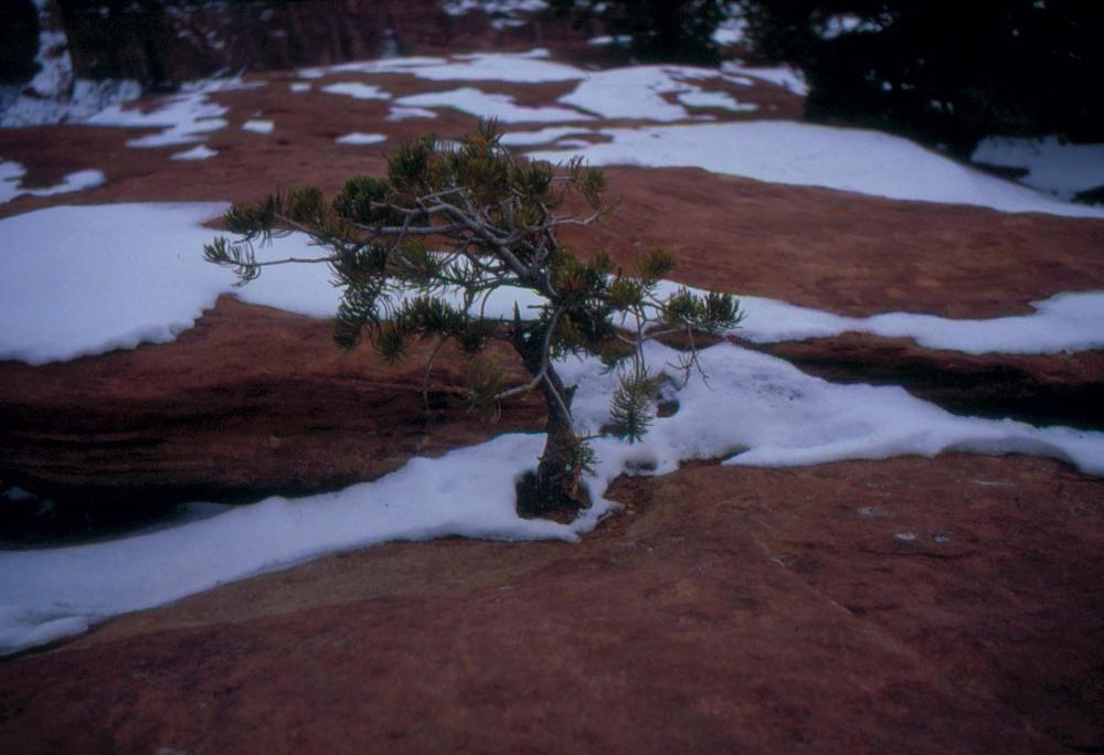 미국 애리조나주에서 촬영한 풍경 사진