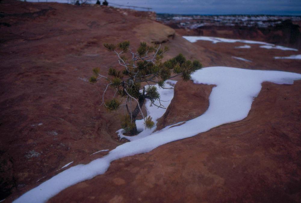 미국 애리조나주에서 촬영한 풍경 사진