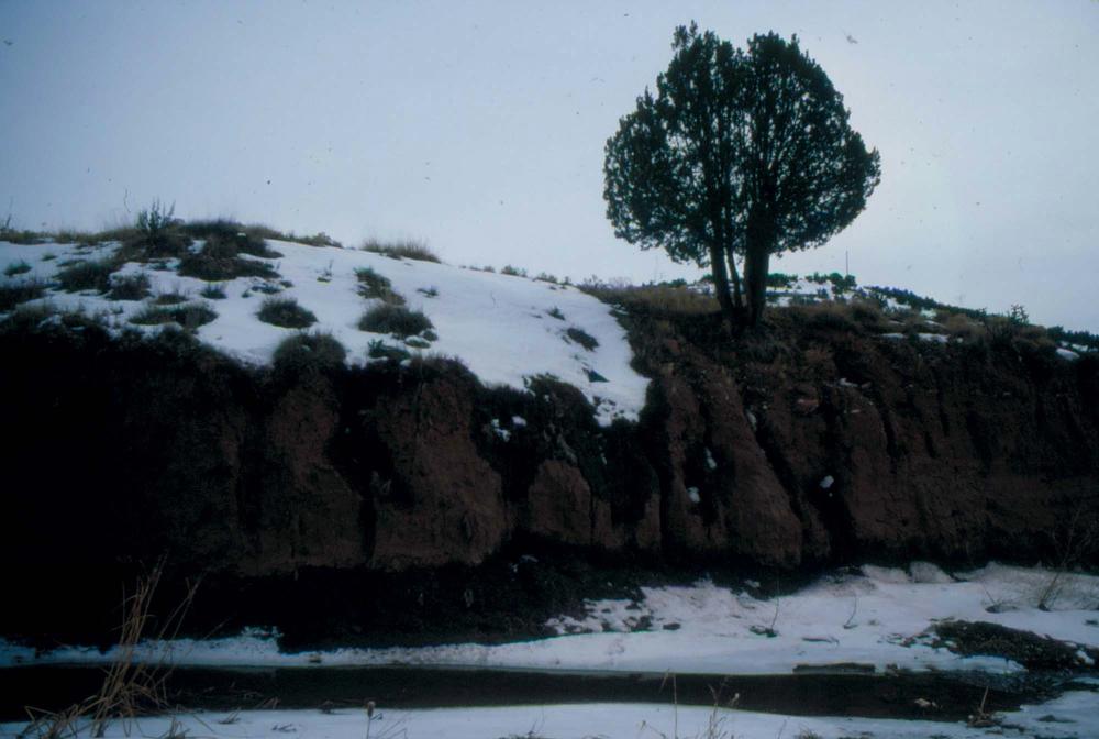 미국 애리조나주에서 촬영한 풍경 사진