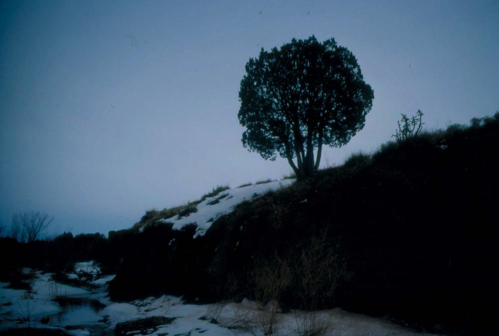 미국 애리조나주에서 촬영한 풍경 사진