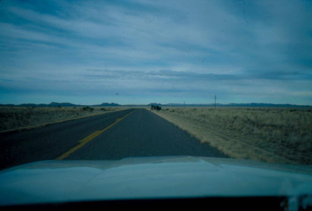 미국 애리조나주에서 촬영한 풍경 사진