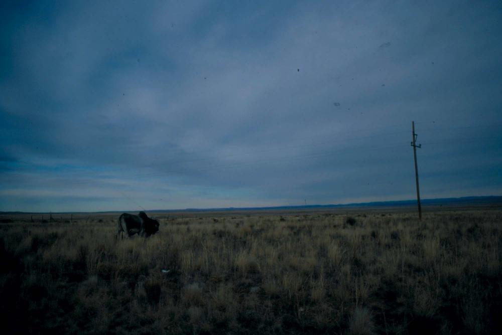 미국 애리조나주에서 촬영한 풍경 사진