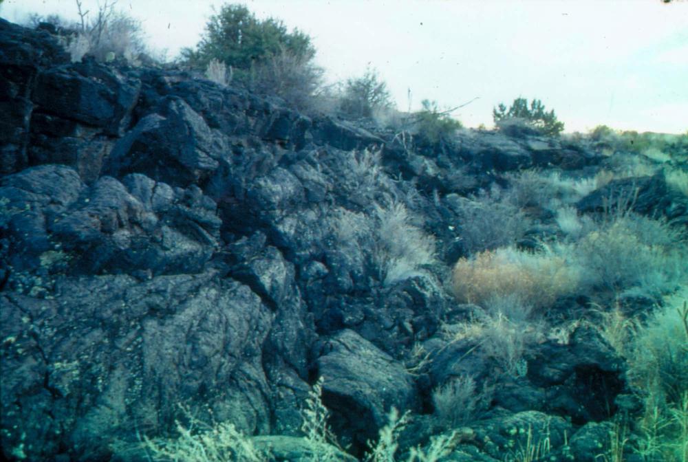 미국 애리조나주에서 촬영한 풍경 사진