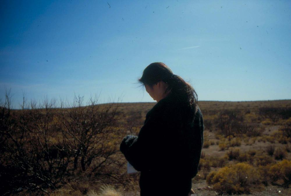 미국 애리조나주에서 촬영한 풍경 사진