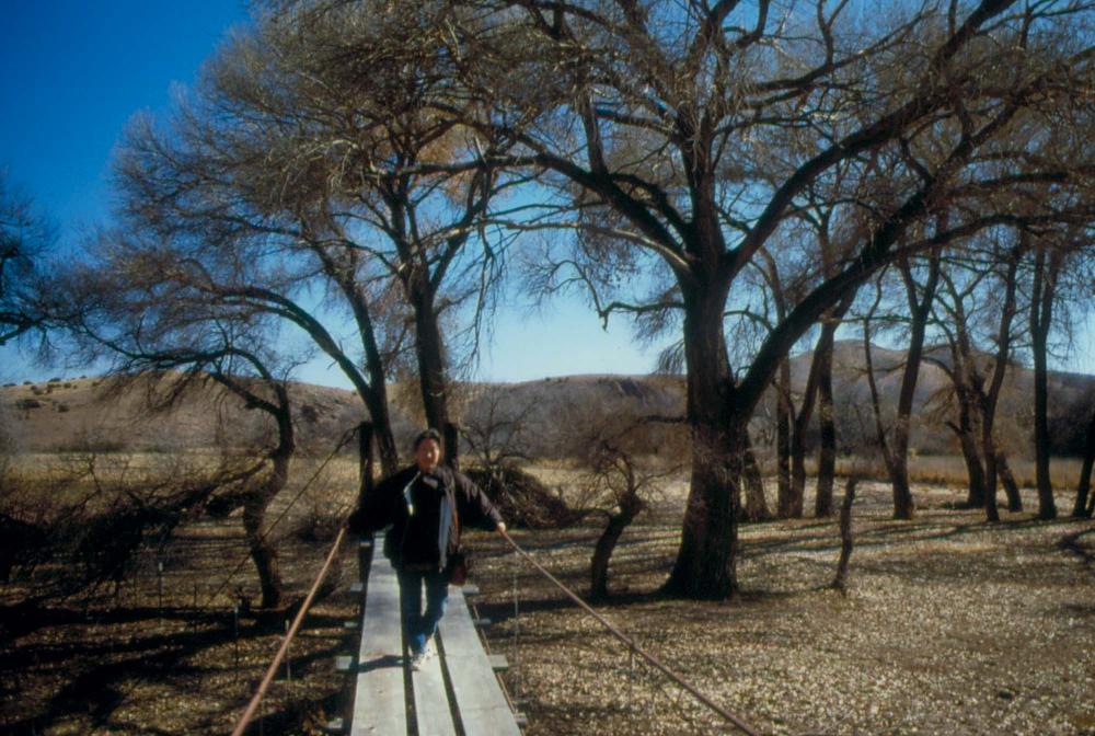미국 애리조나주에서 촬영한 풍경 사진