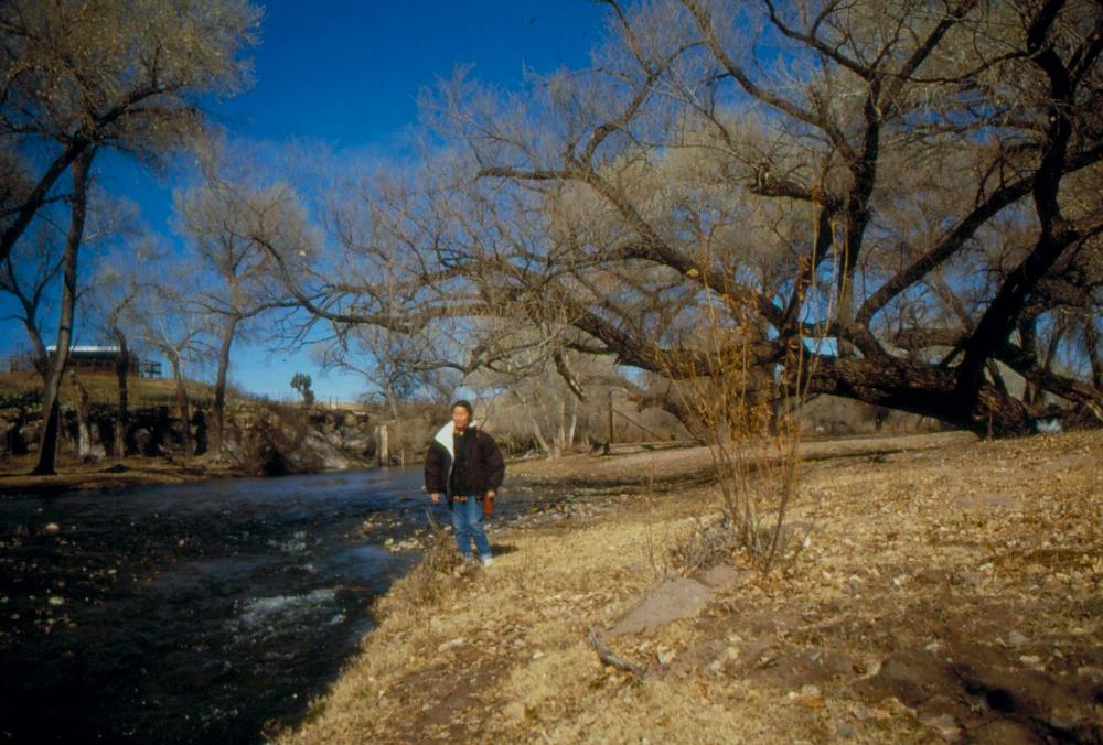 미국 애리조나주에서 촬영한 풍경 사진