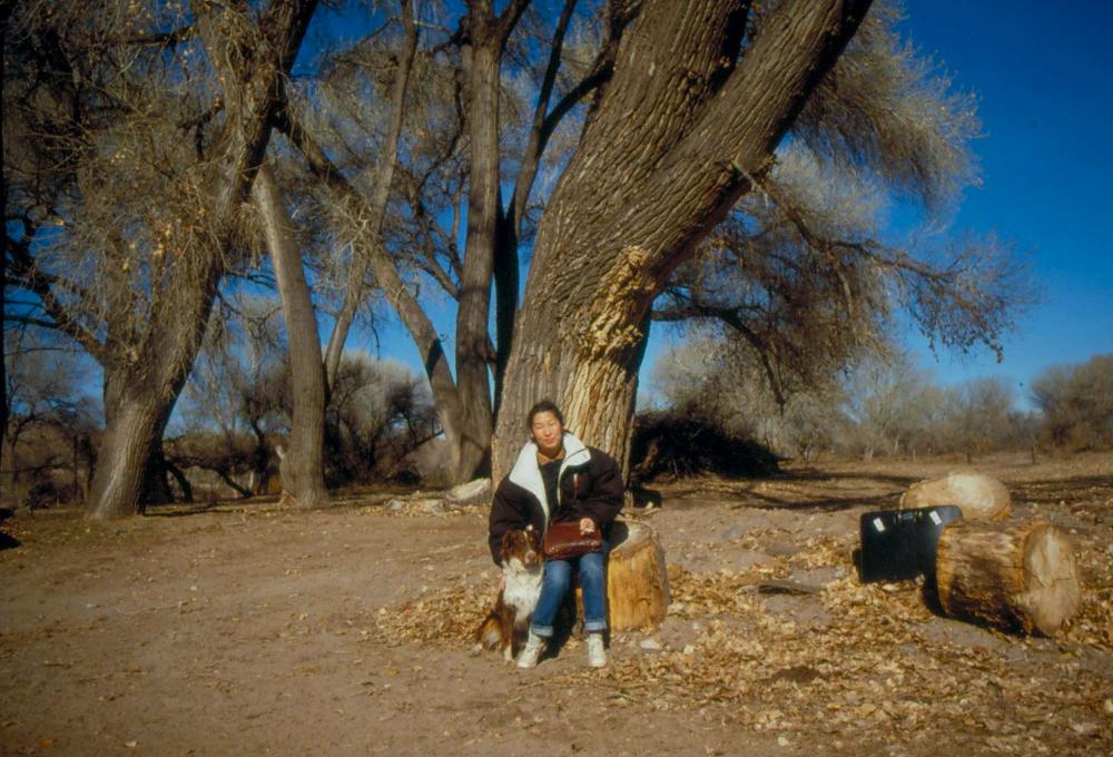 미국 애리조나주에서 촬영한 풍경 사진