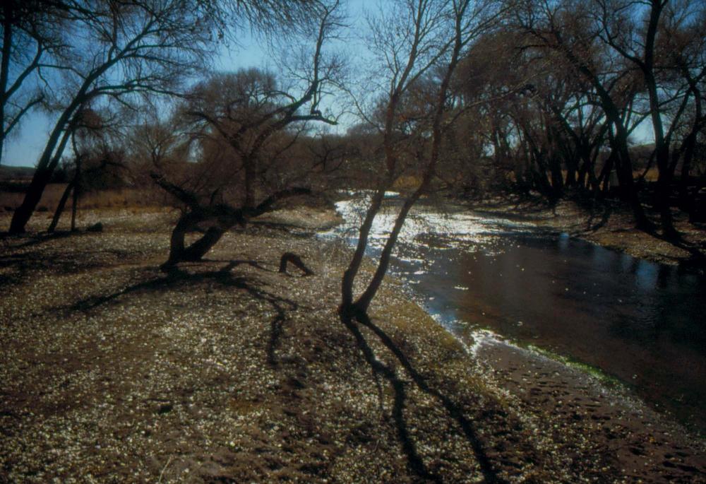 미국 애리조나주에서 촬영한 풍경 사진