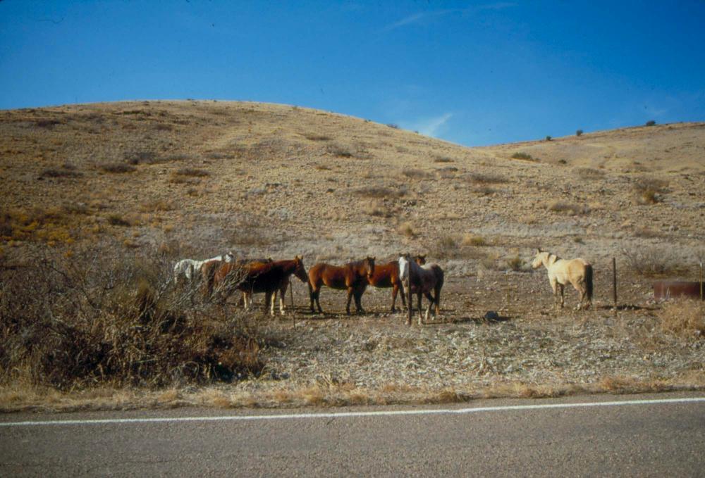 미국 애리조나주에서 촬영한 풍경 사진