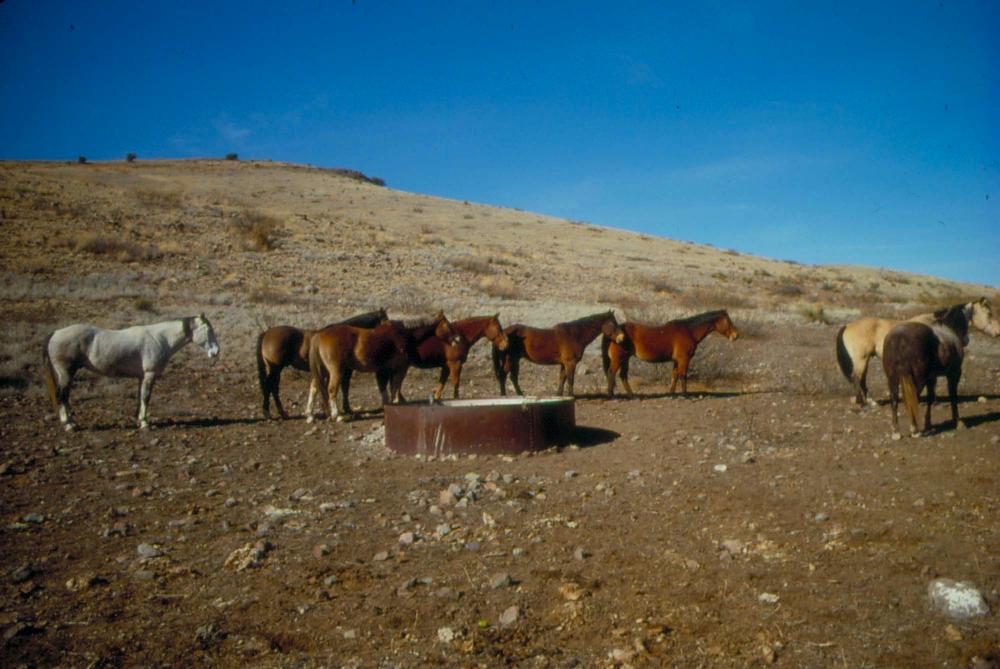 미국 애리조나주에서 촬영한 풍경 사진