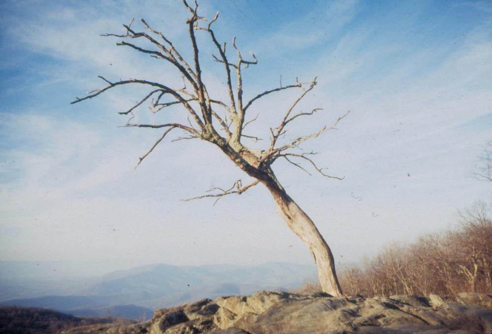 미국 애리조나주에서 촬영한 풍경 사진