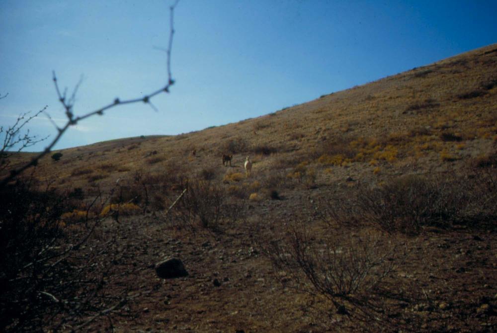 미국 애리조나주에서 촬영한 풍경 사진