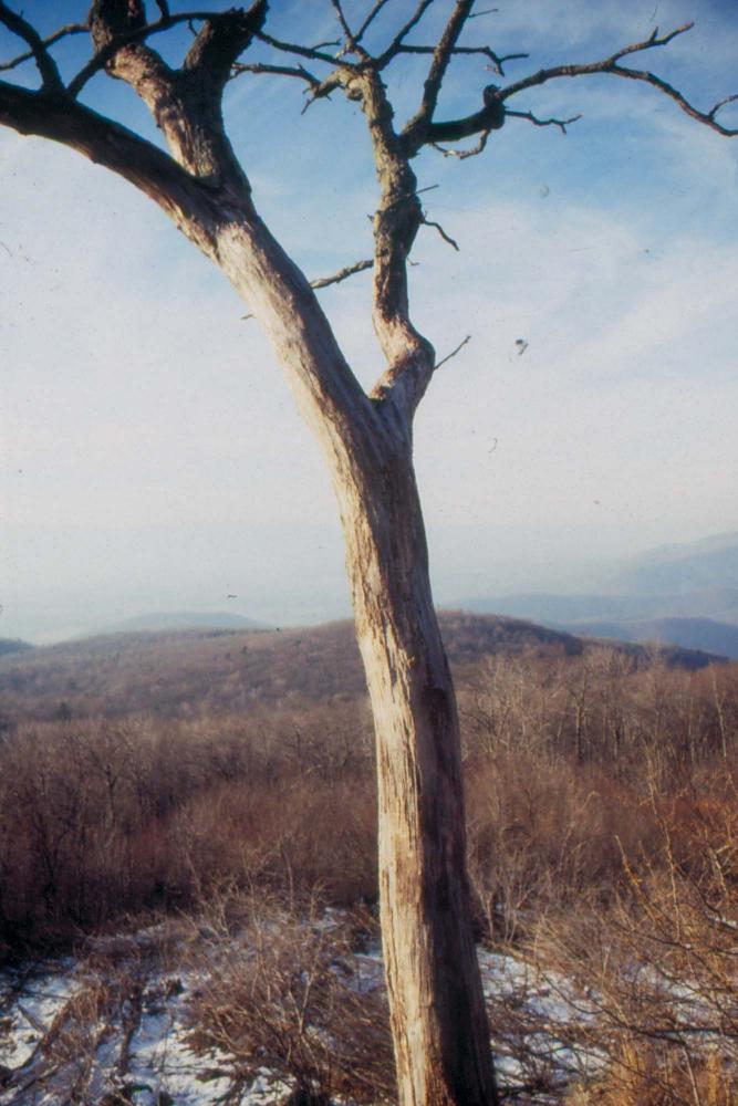 미국 애리조나주에서 촬영한 풍경 사진