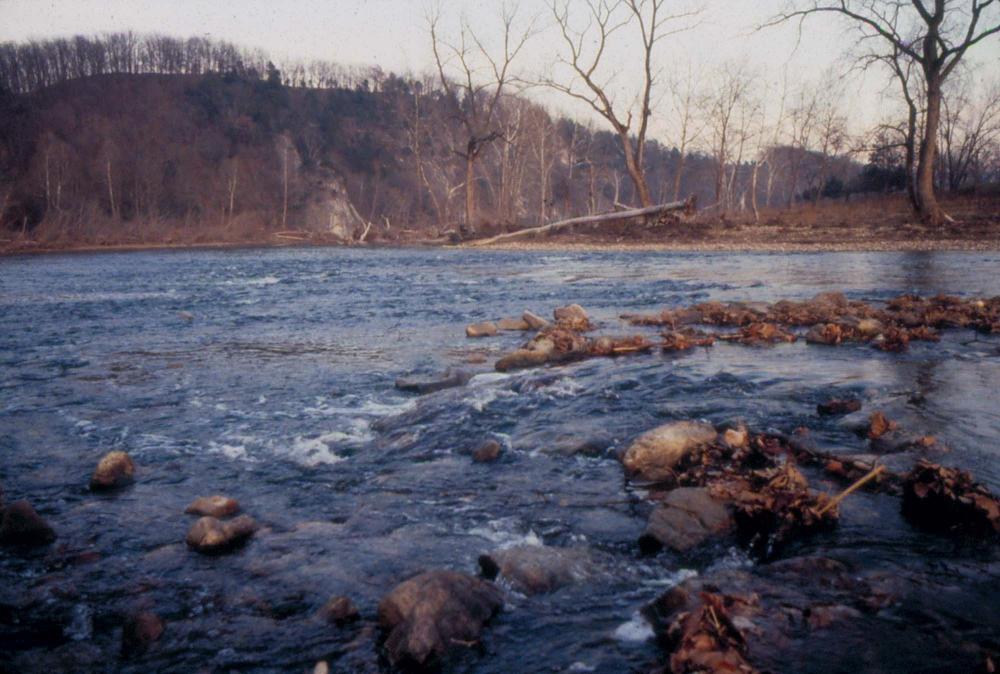 미국 애리조나주에서 촬영한 풍경 사진