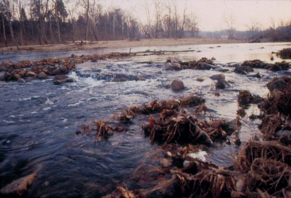 미국 애리조나주에서 촬영한 풍경 사진
