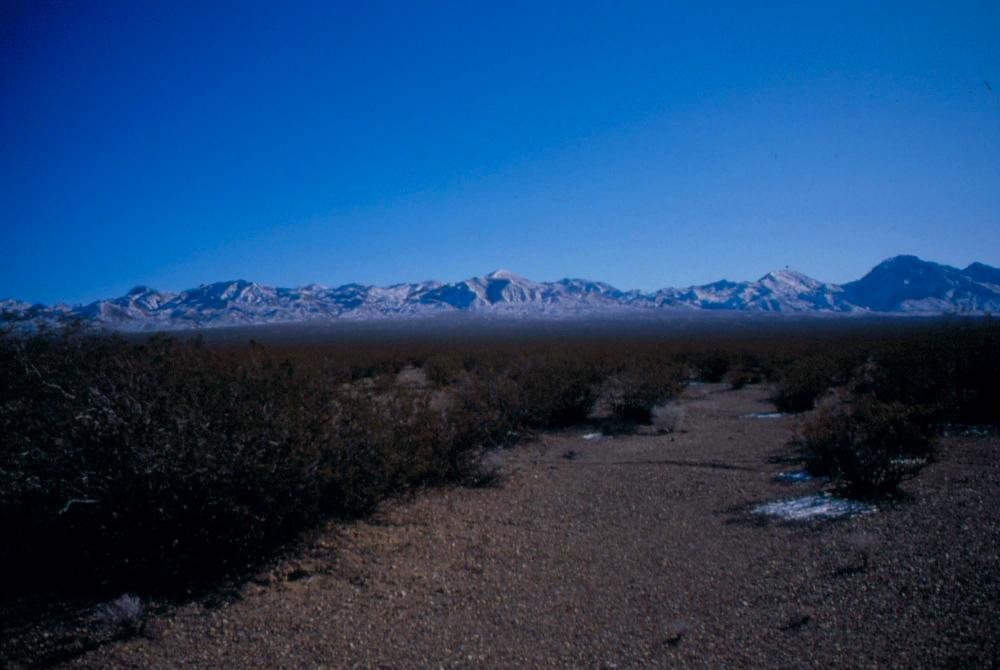 미국 애리조나주에서 촬영한 풍경 사진
