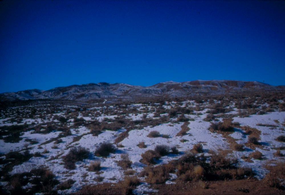 미국 애리조나주에서 촬영한 풍경 사진