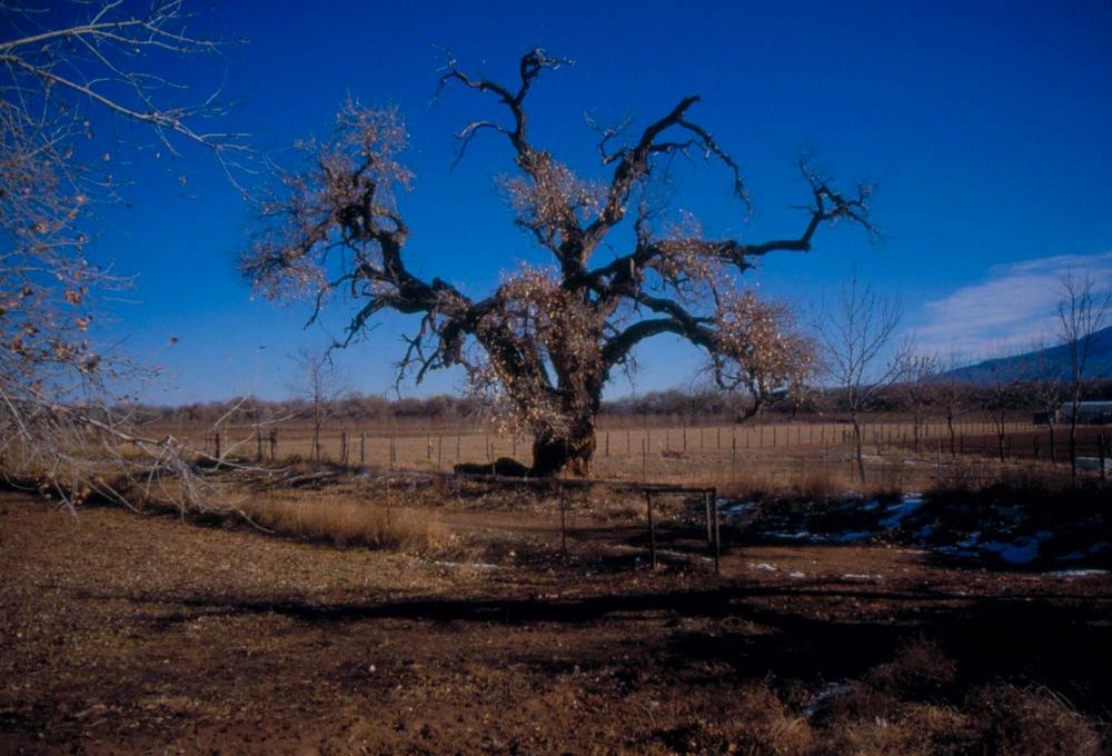 미국 애리조나주에서 촬영한 풍경 사진