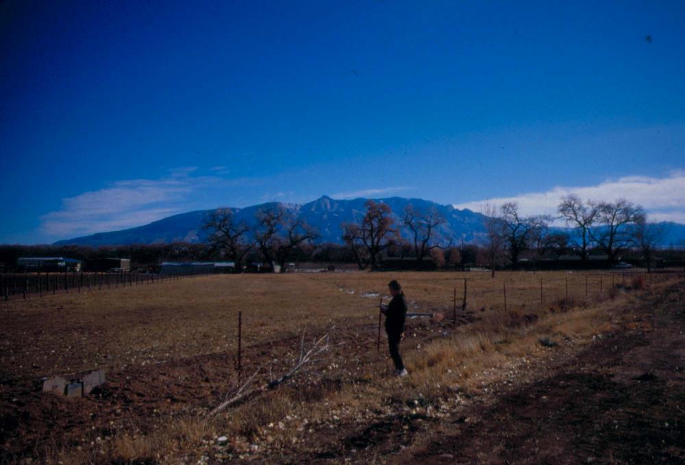 미국 애리조나주에서 촬영한 풍경 사진