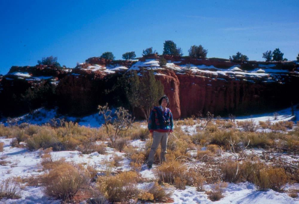 미국 애리조나주에서 촬영한 풍경 사진