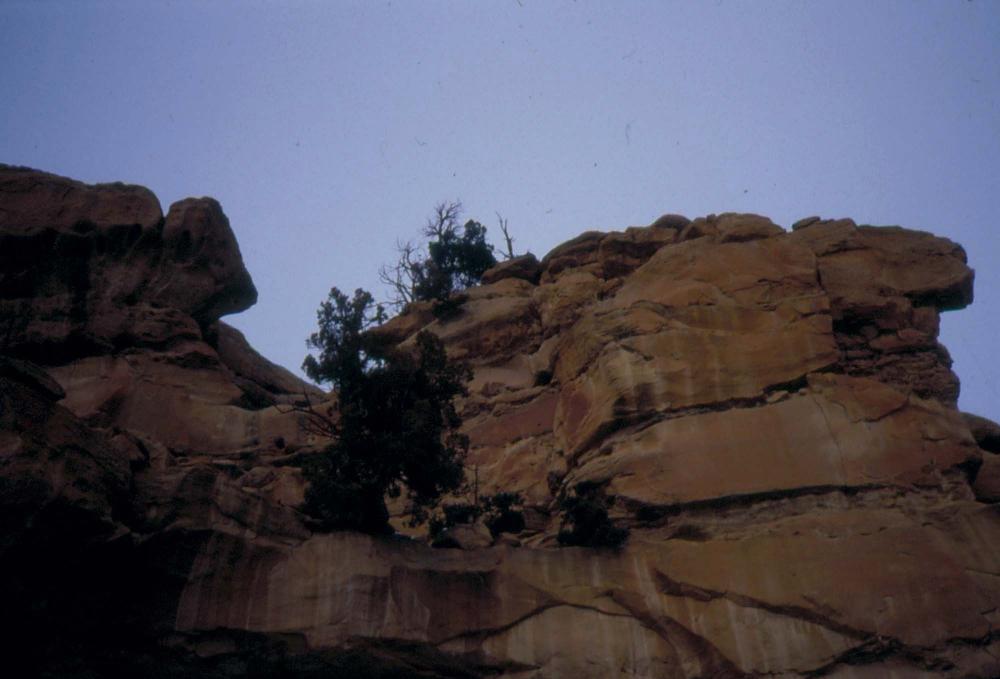 미국 애리조나주에서 촬영한 풍경 사진