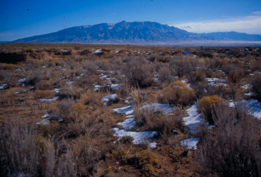 미국 애리조나주에서 촬영한 풍경 사진