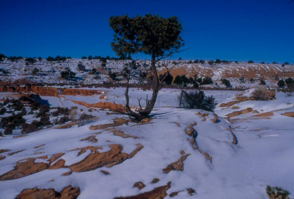 미국 애리조나주에서 촬영한 풍경 사진