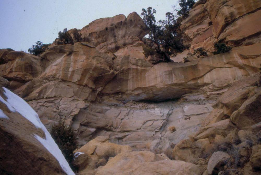 미국 애리조나주에서 촬영한 풍경 사진