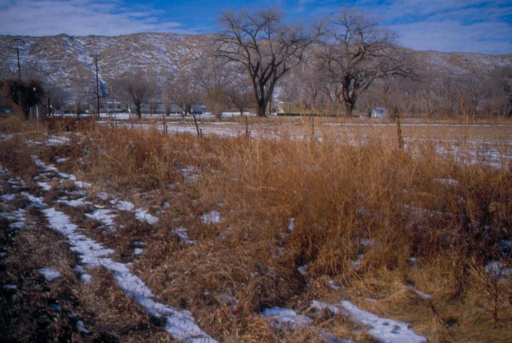 미국 애리조나주에서 촬영한 풍경 사진