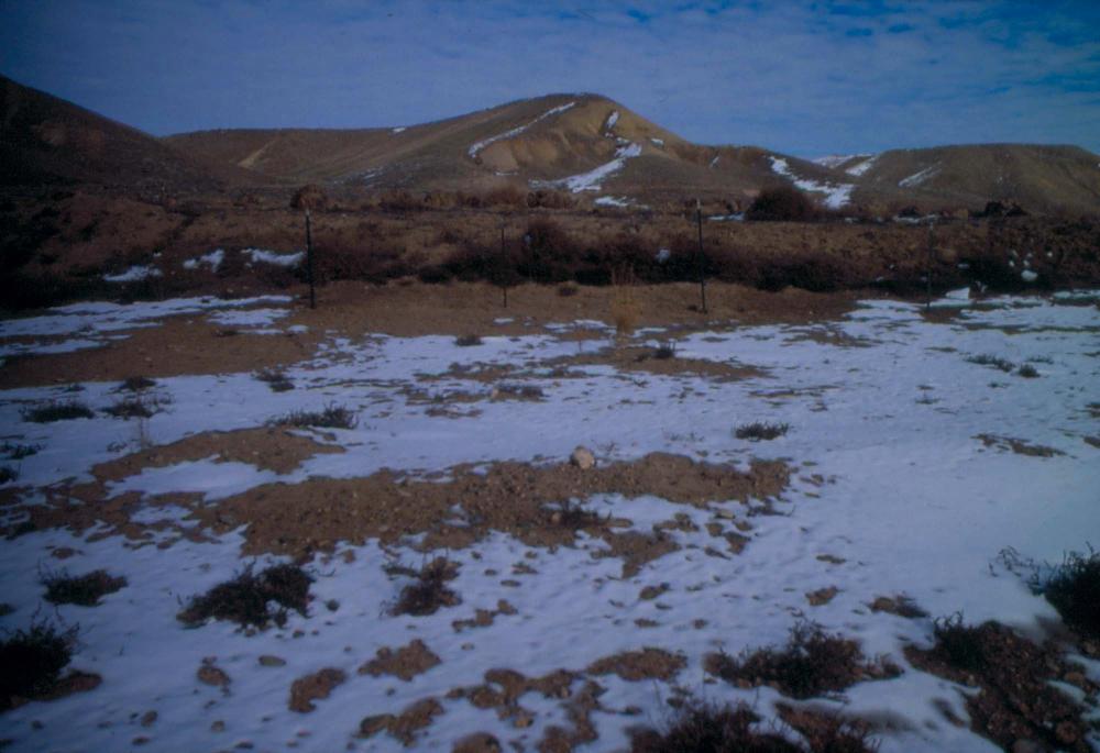 미국 애리조나주에서 촬영한 풍경 사진