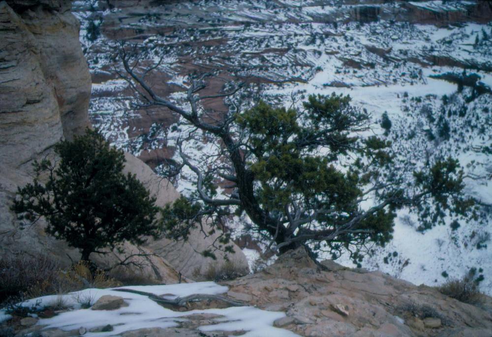 미국 애리조나주에서 촬영한 풍경 사진