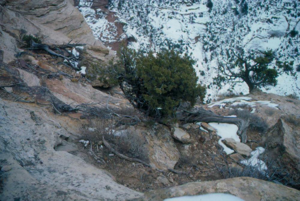 미국 애리조나주에서 촬영한 풍경 사진