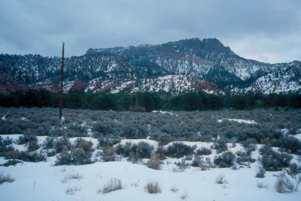 미국 애리조나주에서 촬영한 풍경 사진