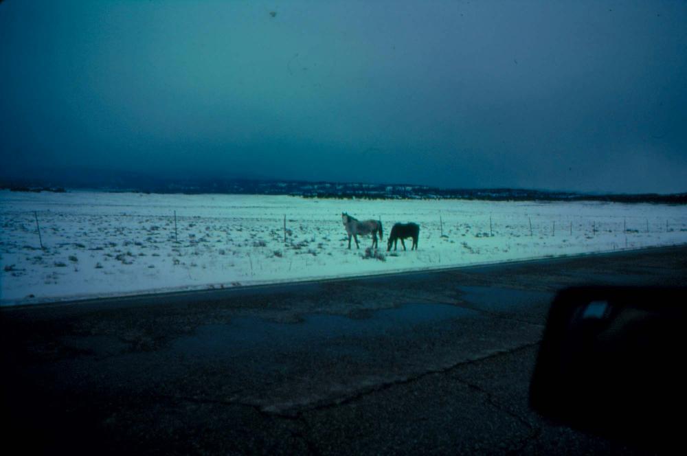미국 애리조나주에서 촬영한 풍경 사진