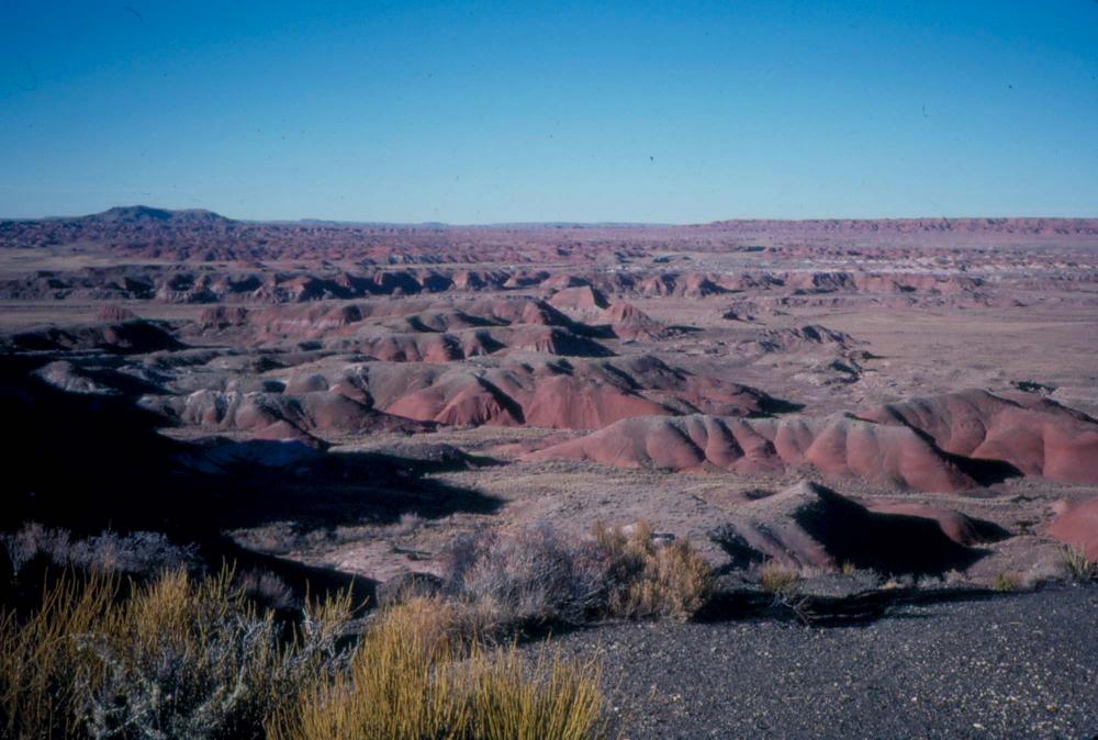 미국 애리조나주에서 촬영한 풍경 사진