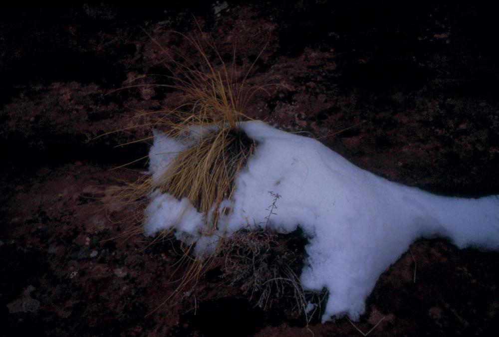 미국 애리조나주에서 촬영한 풍경 사진