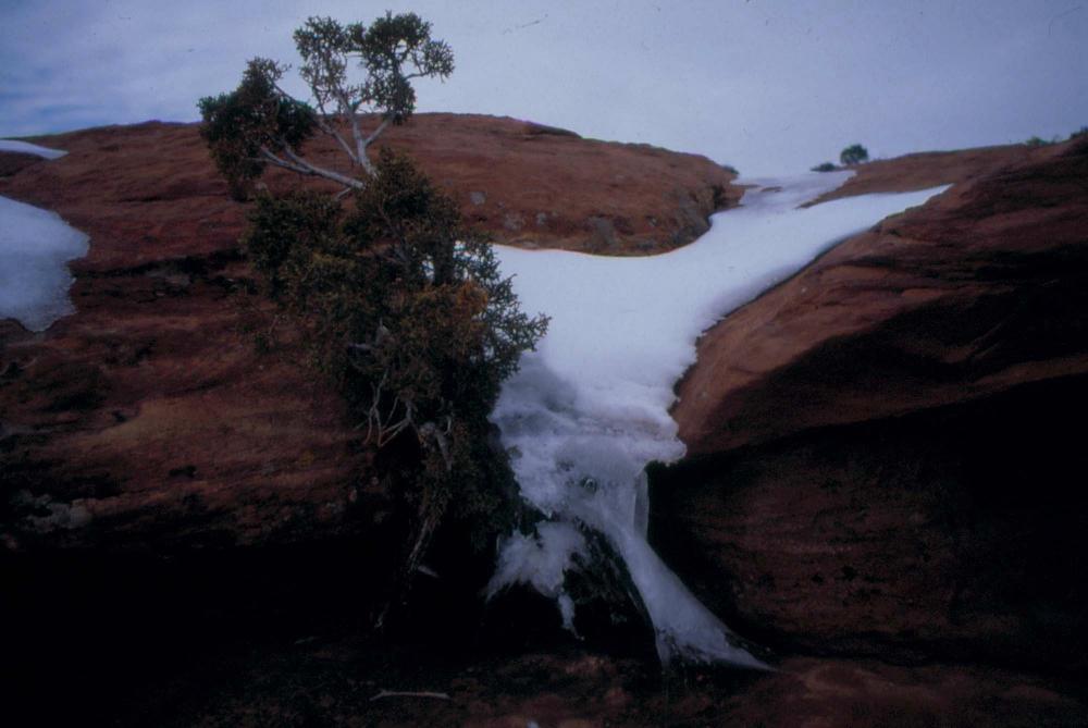 미국 애리조나주에서 촬영한 풍경 사진