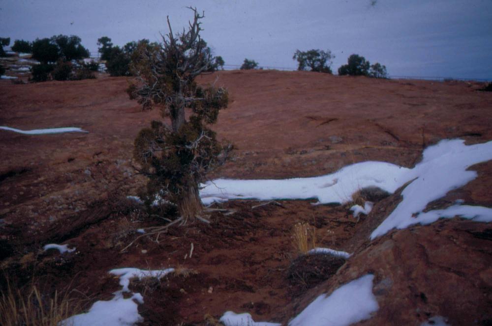 미국 애리조나주에서 촬영한 풍경 사진