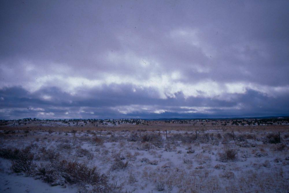 미국 애리조나주에서 촬영한 풍경 사진
