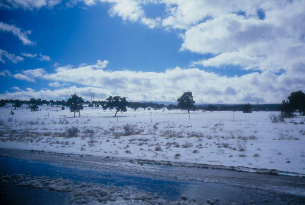 미국 애리조나주에서 촬영한 풍경 사진