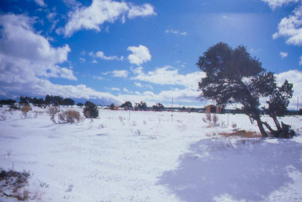 미국 애리조나주에서 촬영한 풍경 사진