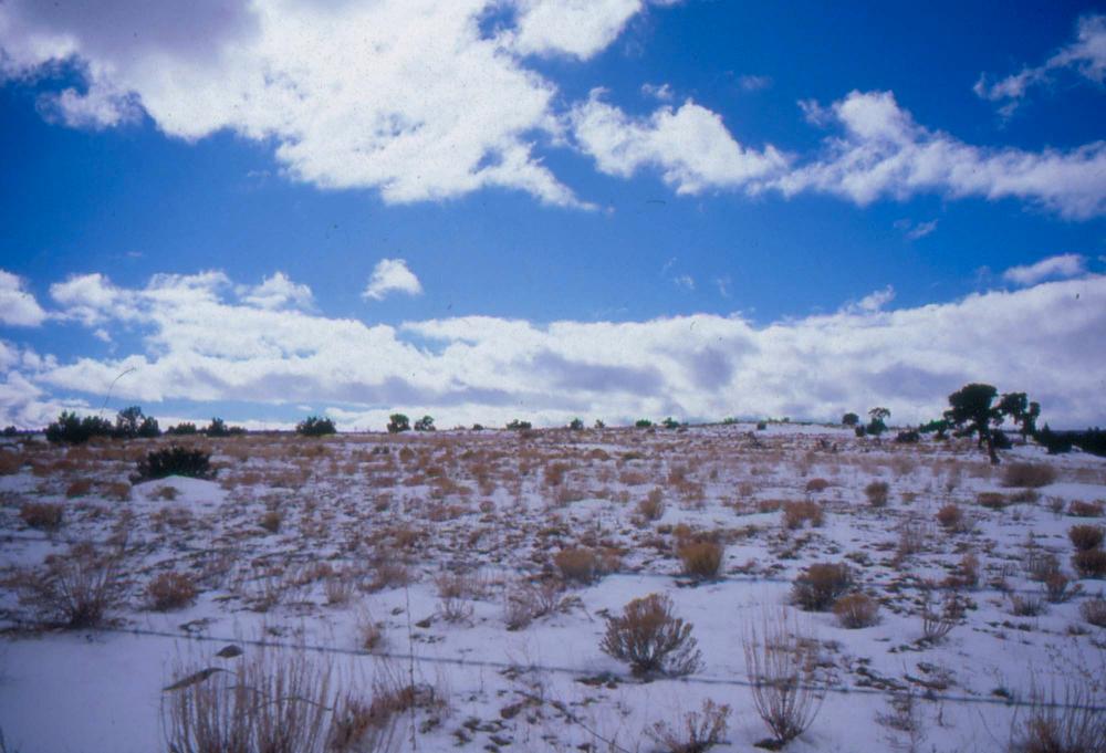 미국 애리조나주에서 촬영한 풍경 사진