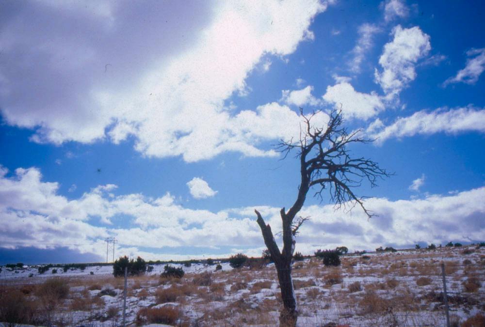 미국 애리조나주에서 촬영한 풍경 사진
