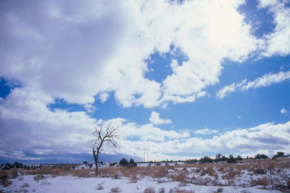 미국 애리조나주에서 촬영한 풍경 사진